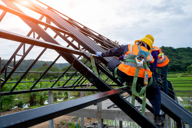 Best Roof Gutter Cleaning  in Dranesville, VA