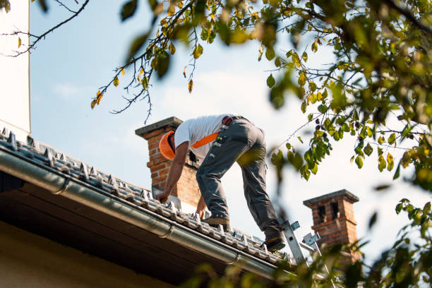Best Roof Leak Repair  in Dranesville, VA