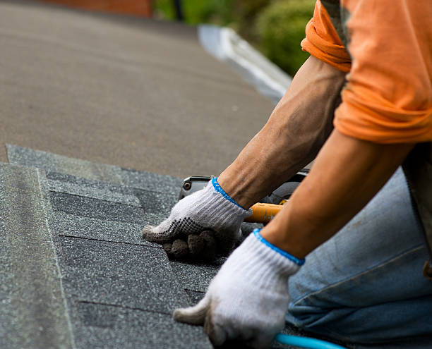 Best Local Roofing Companies  in Dranesville, VA